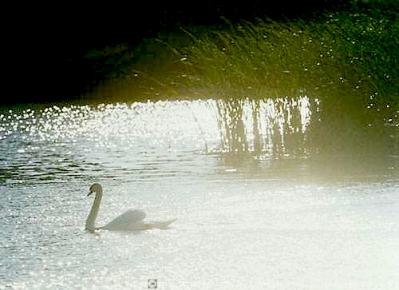 &copy;  2014  George Burggraaff