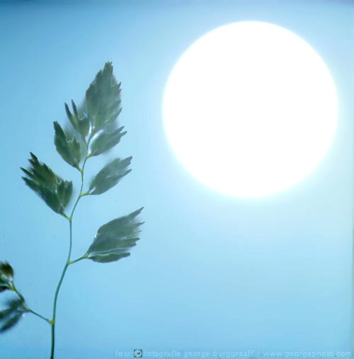 &copy;  2021 George Burggraaff