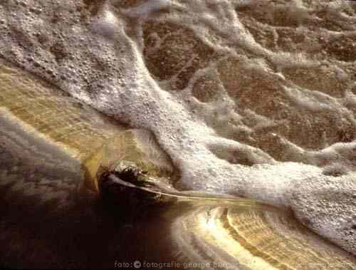 &copy;  2021  George Burggraaff