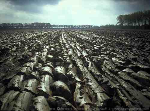 &copy;  2021  George Burggraaff