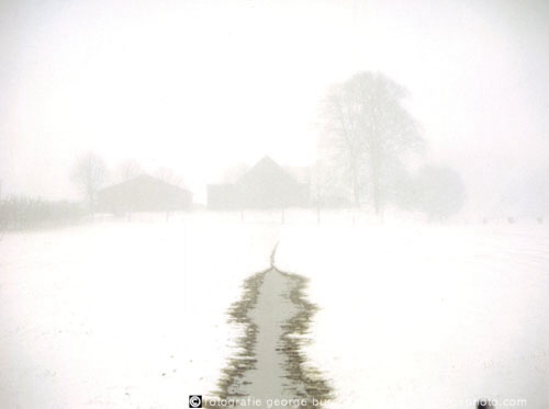 © 2021 George Burggraaff