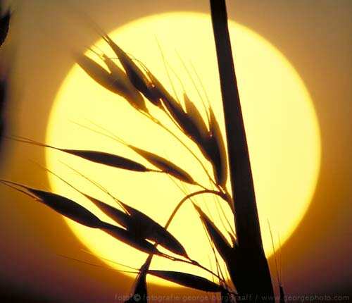 &copy;  2021  George Burggraaff