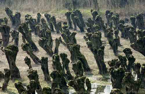 &copy;  2021  George Burggraaff