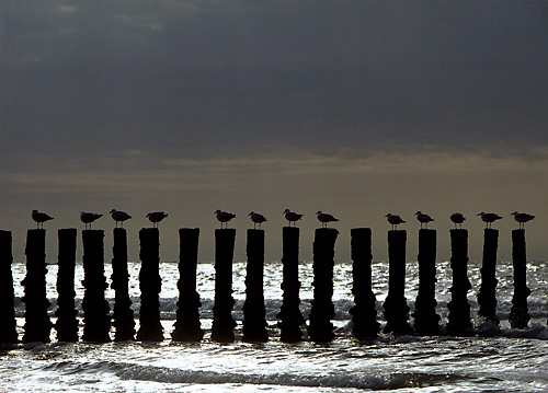 &copy;  2021  George Burggraaff