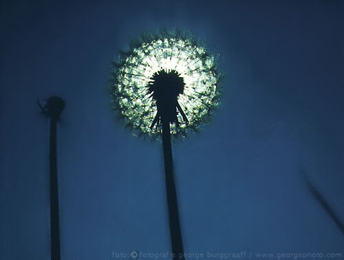 &copy;  2021  George Burggraaff