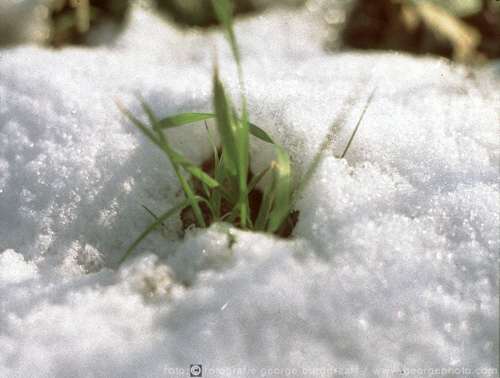 &copy;  2021  George Burggraaff