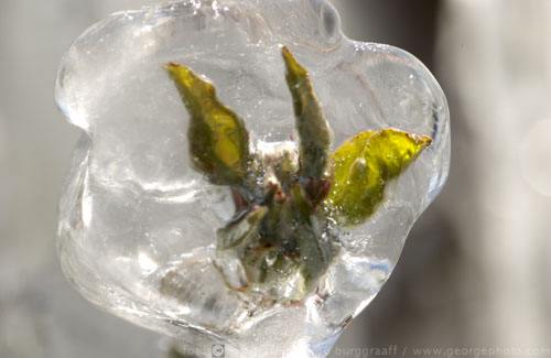 &copy;  2021  George Burggraaff