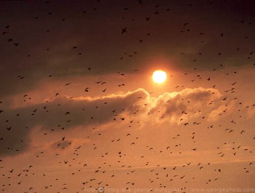 &copy;  2021  George Burggraaff