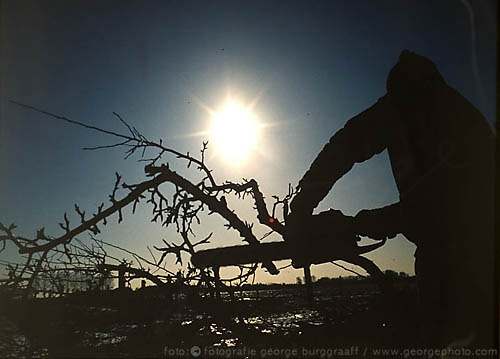 &copy;  2021  George Burggraaff