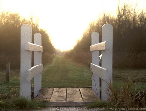 &copy;  2021  George Burggraaff