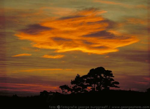 &copy;  2021  George Burggraaff