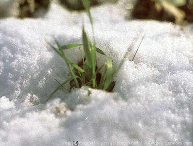 &copy;  2017  George Burggraaff