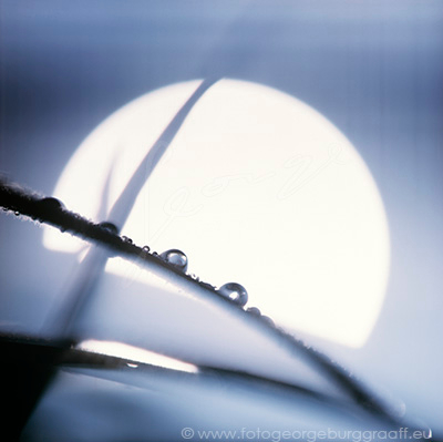 copyright 2019 George Burggraaff