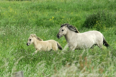 Uitleg voor kinderen over het begrip Tao, het boek over vrede en vreugde. foto &copy; George Burggraaff