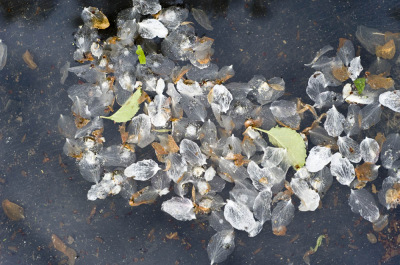 &copy;  2013  George Burggraaff