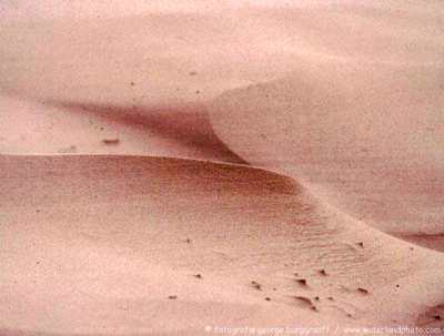 &copy;  George Burggraaff