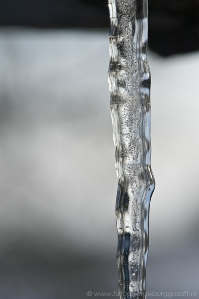 copyright 2013 George Burggraaff