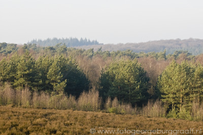 De rivier de Rijn stroomt onderlangs de Amerongse berg. &copy; 2017, George Burggraaff