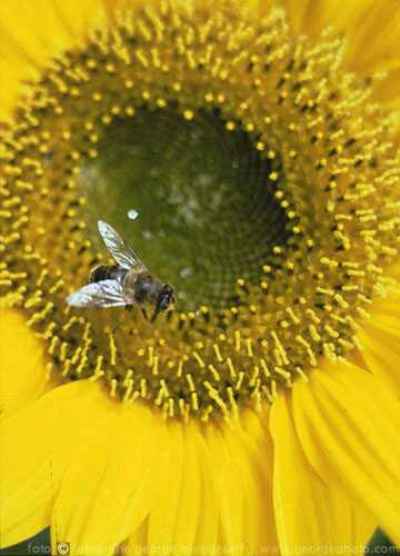 &copy;  2014  George Burggraaff