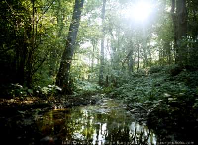 &copy;  2017  George Burggraaff