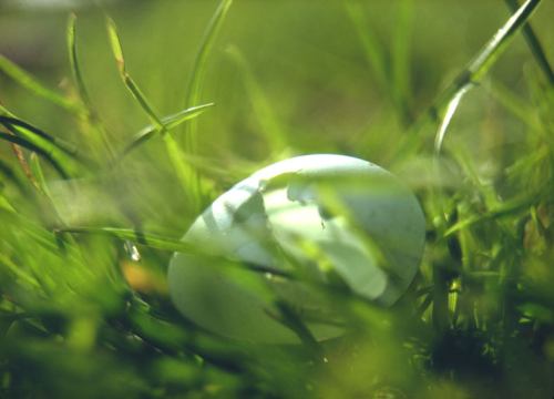 &copy;  2003, George Burggraaff