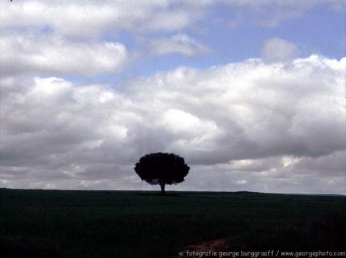 &copy;  2021  George Burggraaff