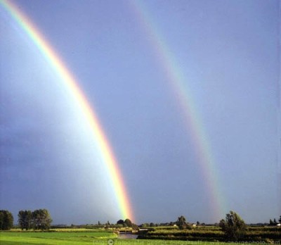 &copy;  2013  George Burggraaff