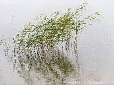 copyright 2021 George Burggraaff