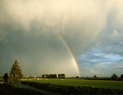 copyright 2019 George Burggraaff