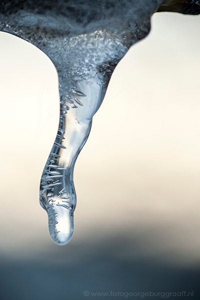 copyright 2019 George Burggraaff