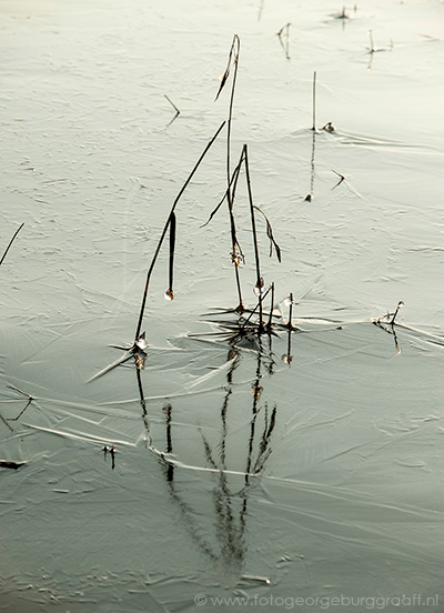 copyright 2017 George Burggraaff