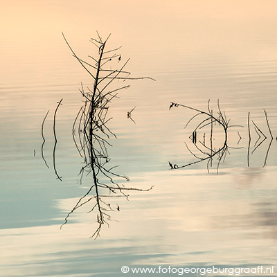 copyright 2015 George Burggraaff