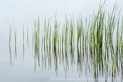 copyright 2019 George Burggraaff