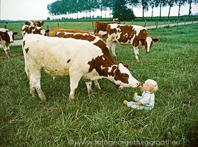 copyright 2015 George Burggraaff