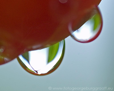 copyright George Burggraaff