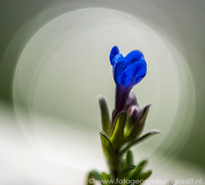 De Tao voor kinderen, tekst 63, copyright 2017 George Burggraaff