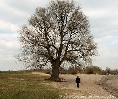 De Tao voor kinderen, tekst 64, copyright 2017 George Burggraaff