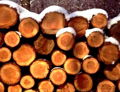 &copy;  2014  George Burggraaff