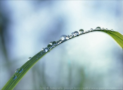 &copy;  george burggraaff