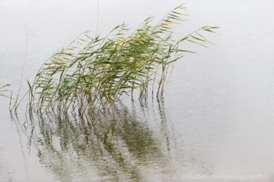 &copy;  george burggraaff