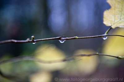 copyright 2014 George Burggraaff