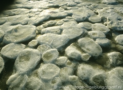 copyright 2011 George Burggraaff