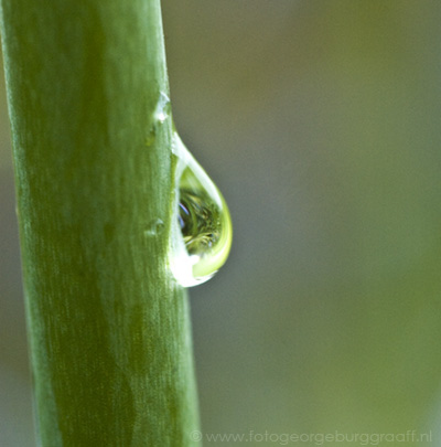 copyright 2011 George Burggraaff