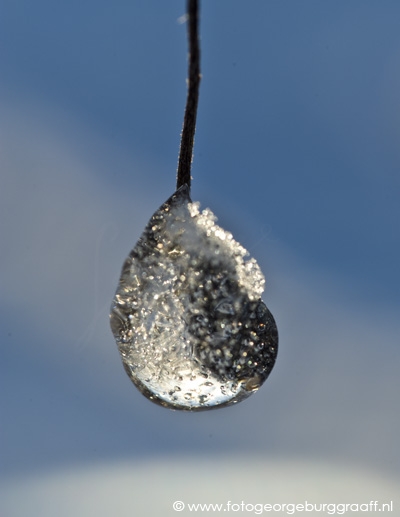 copyright 2012 George Burggraaff