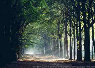 &copy;  2014  George Burggraaff